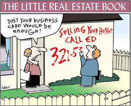 The Little Real Estate Book