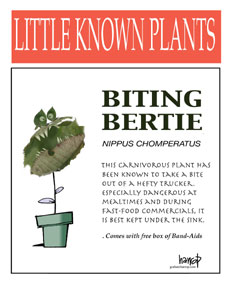 Little Known Plants