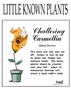 Little Known Plants